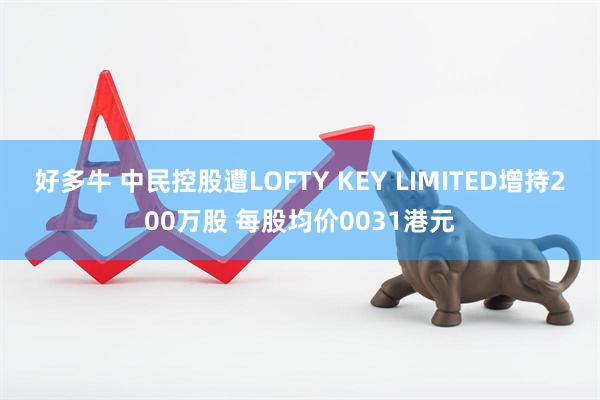好多牛 中民控股遭LOFTY KEY LIMITED增持200万股 每股均价0031港元